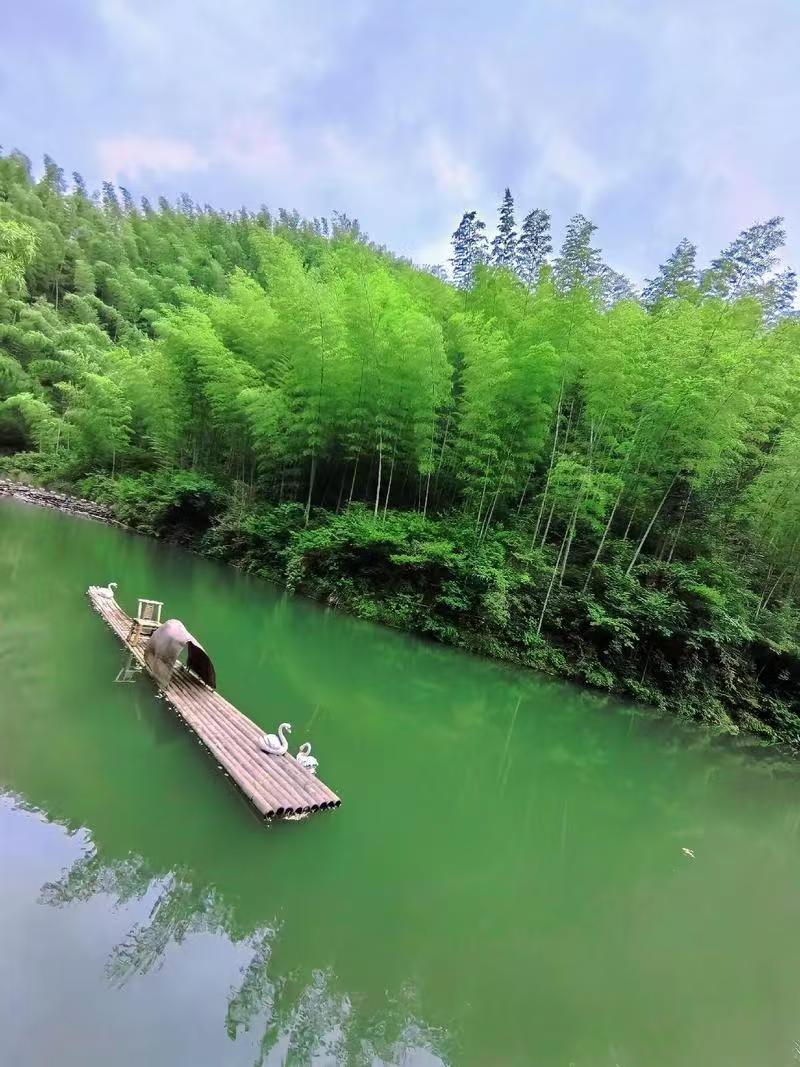 木坑竹海