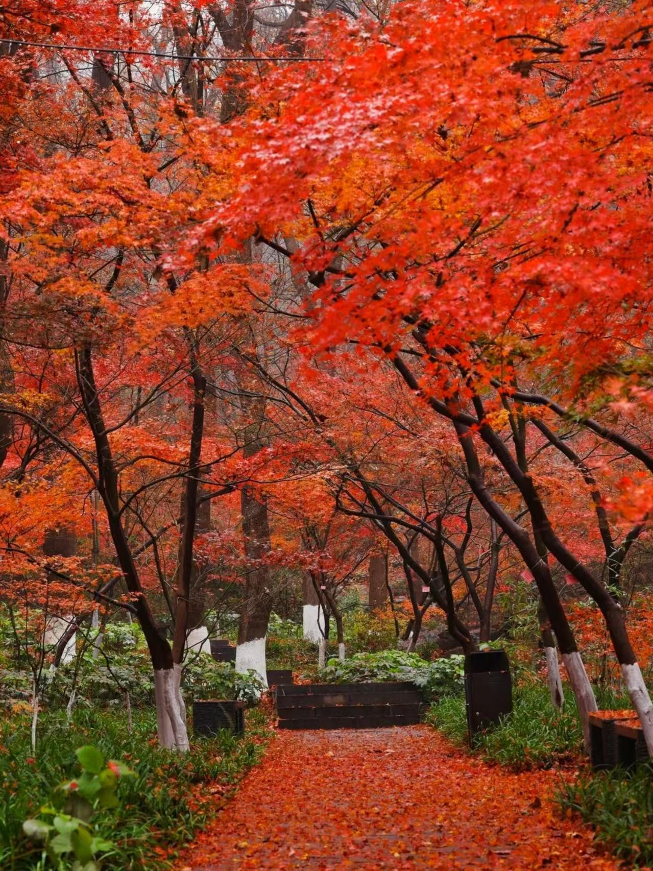 栖霞山