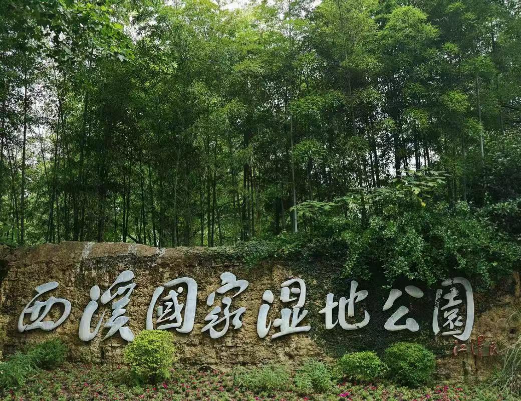 西溪湿地