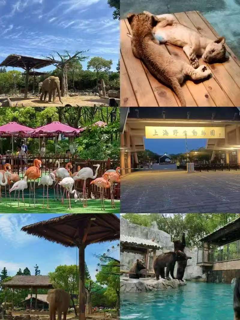 高原野生动物园