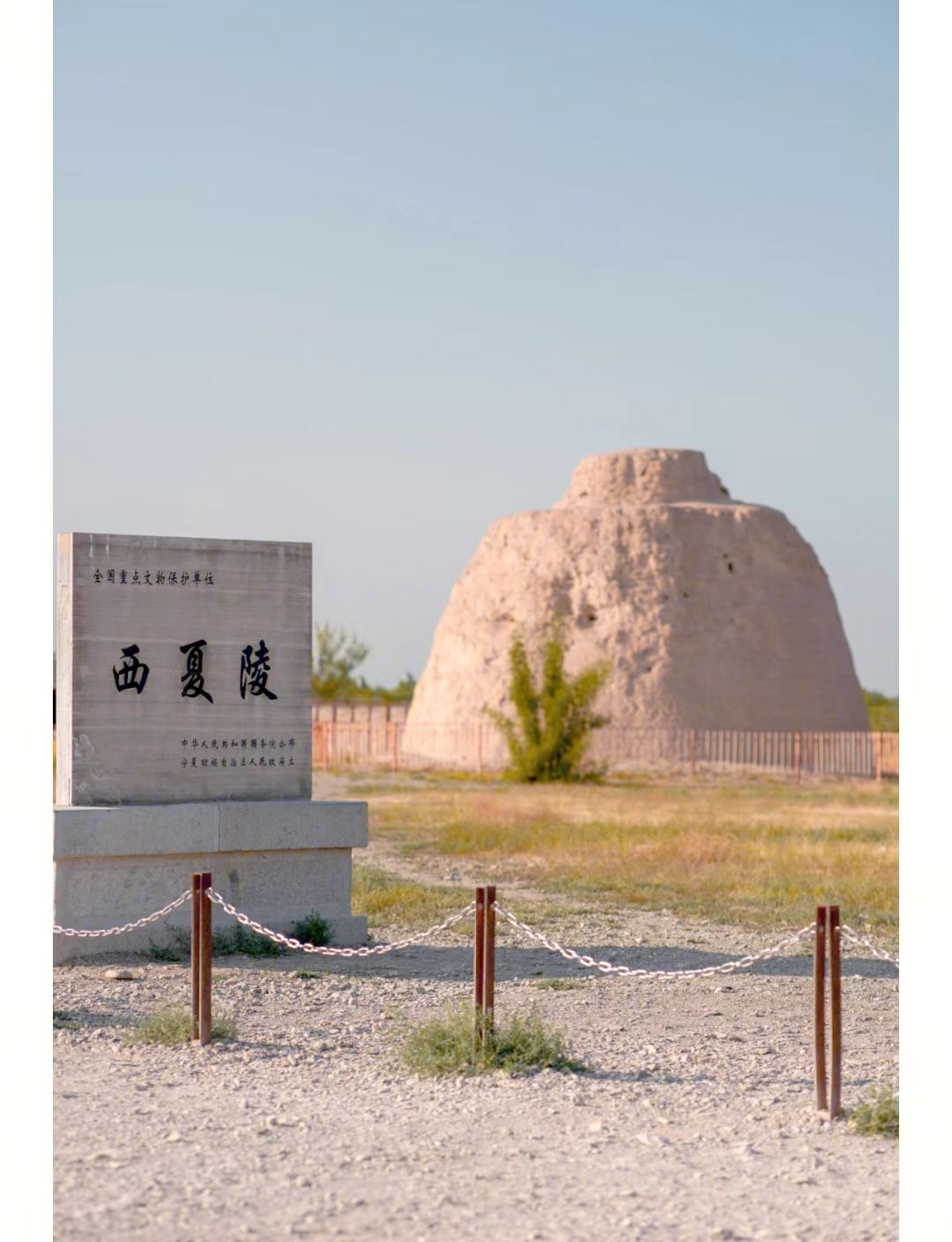 西夏王陵