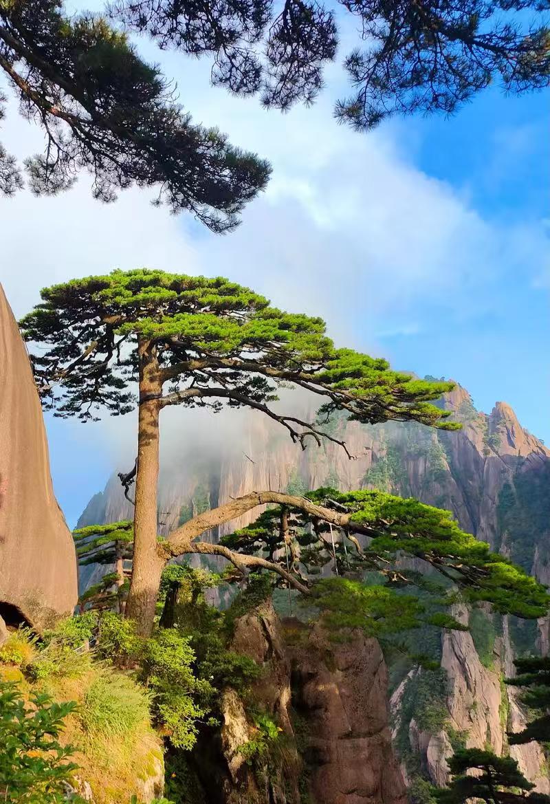 黄山风光